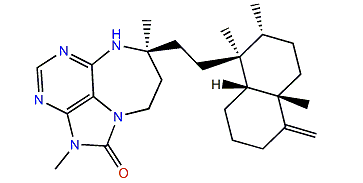 Asmarine C